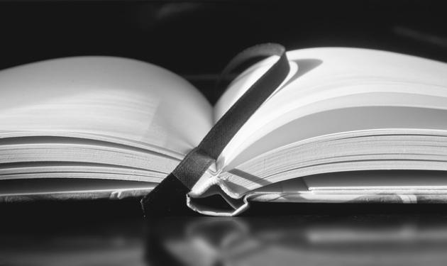 'Il guscio delle cose' o il disvelamento dell'invisibile