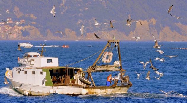 Libia, spari contro i pescherecci  italiani: ferito un comandante