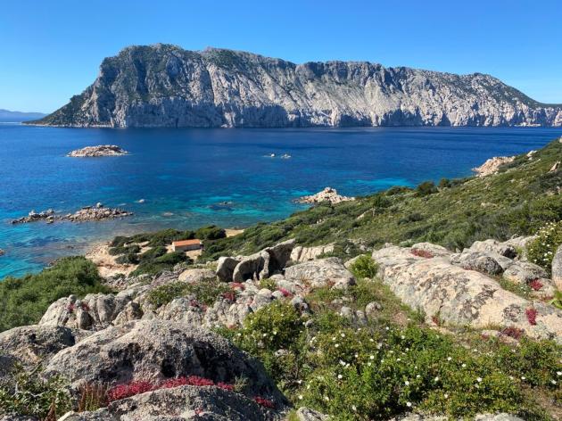  AXA Italia e Worldrise insieme per la tutela dei mari e degli oceani