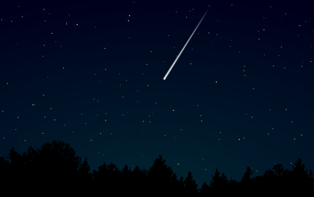 Stelle