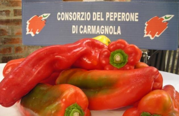 Fiera nazionale del peperone: a Carmagnola prosegue la tradizione 