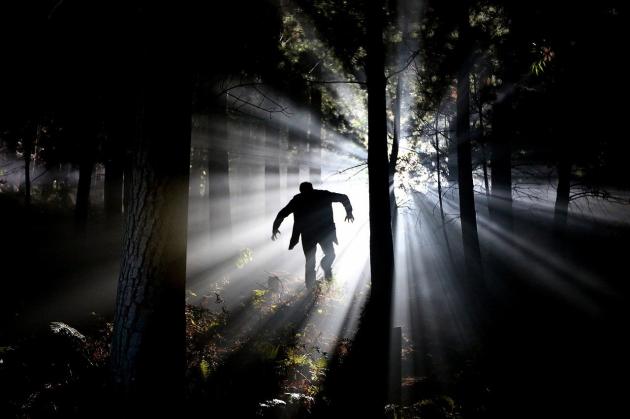 Frankenstein: venduta la prima edizione dello storico libro di Mary Shelley a 1,17 milioni di dollari