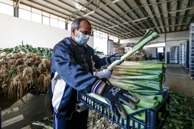Riforma pensioni 2022 lavori gravosi, quali sono: l'elenco completo
