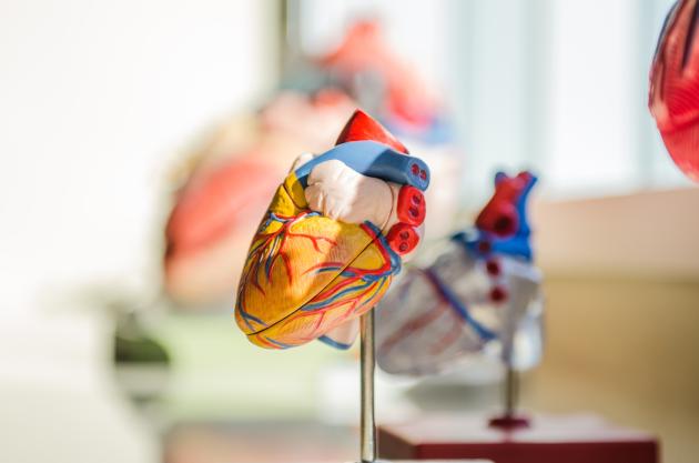 Malattie cardiovascolari