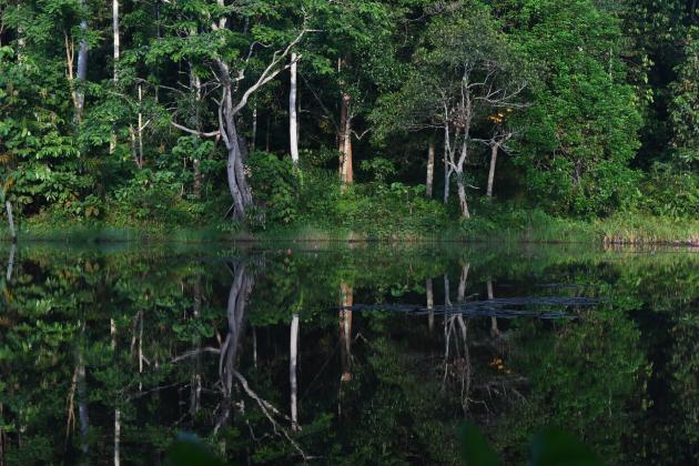 Pirelli e BMW Group insieme a BirdLife International per proteggere l’ecosistema naturale in Indonesia