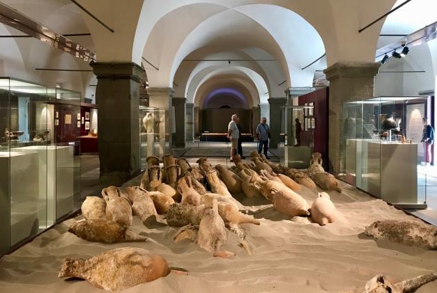 Troppo è pretendere l’intelligenza, ma il buonsenso sì: lo strano caso del Museo della città di Livorno