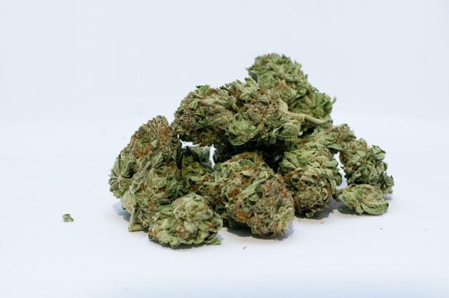 Uber, ordinare Cannabis direttamente dall’app: ecco cosa succede in Canada