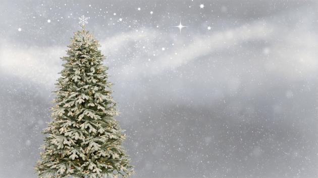 Puntale albero di Natale 2021: angelo, luminoso, Disney, fiocco, rosso o  fai da te