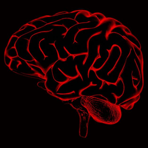 Mind uploading, i dubbi di un Nuovo Umanista