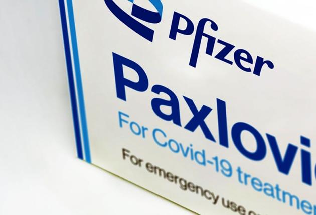 Pillola anti-Covid di Pfizer approvata dall'Ema: via libera al Paxlovid