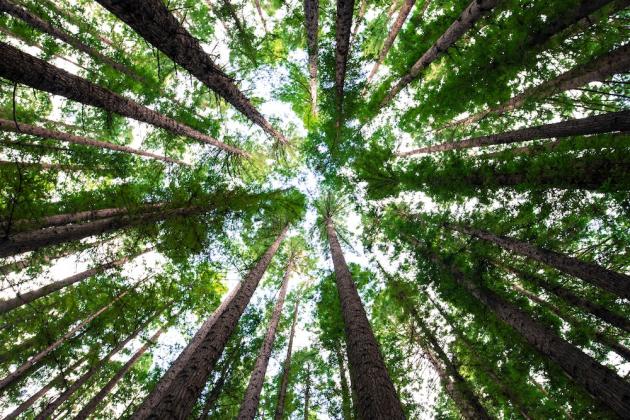 Fit for 55: la transizione energetica e i rischi ambientali. Il ruolo delle imprese