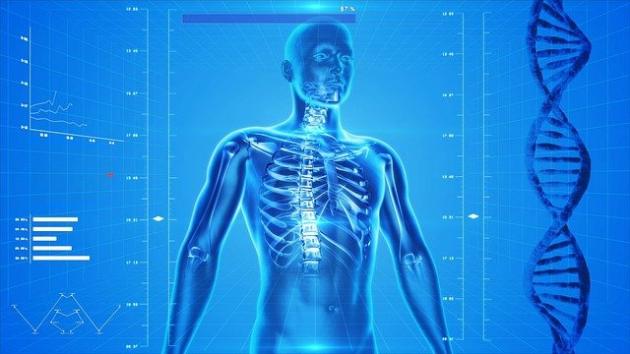 Sapio e Advice Pharma Group, al via partnership per lo sviluppo di Terapie Digitali