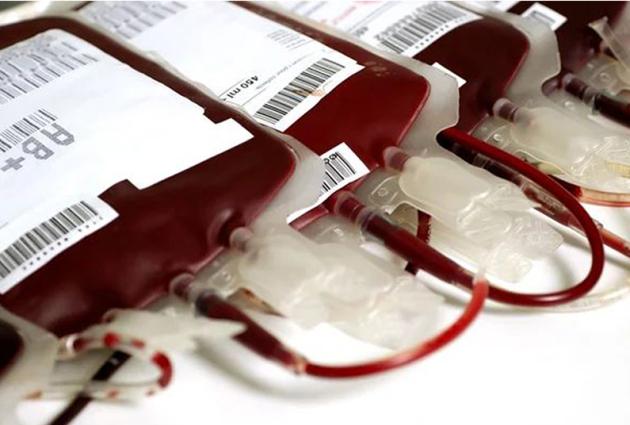 Modena, chiedevano "sangue no vax" per il figlio: sospesa la potestà ai genitori