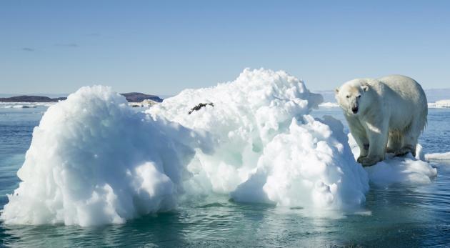 La sfida ambientale: difendere l’uomo e difendere la Terra