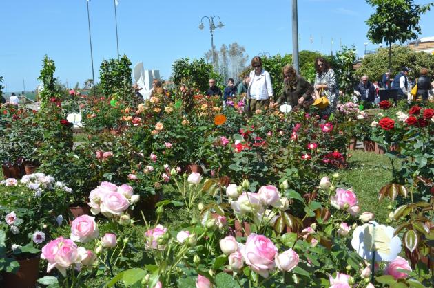Marina in Fiore