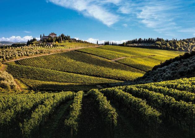 Tenuta Perano