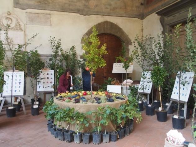 Floralia