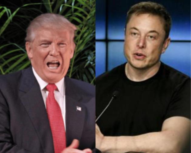 Twitter, Musk riprende Trump: "Un errore bloccare suo profilo"