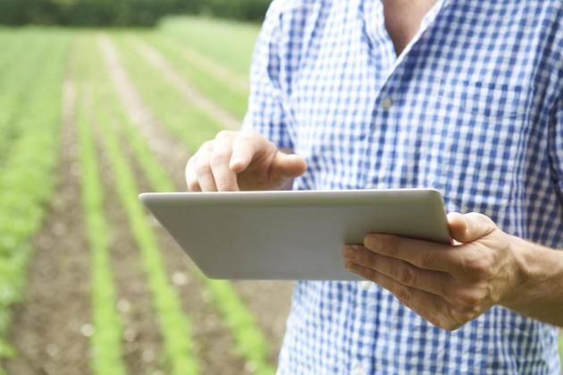 BASF acquisisce Horta per rafforzare la sua offerta nel digital farming