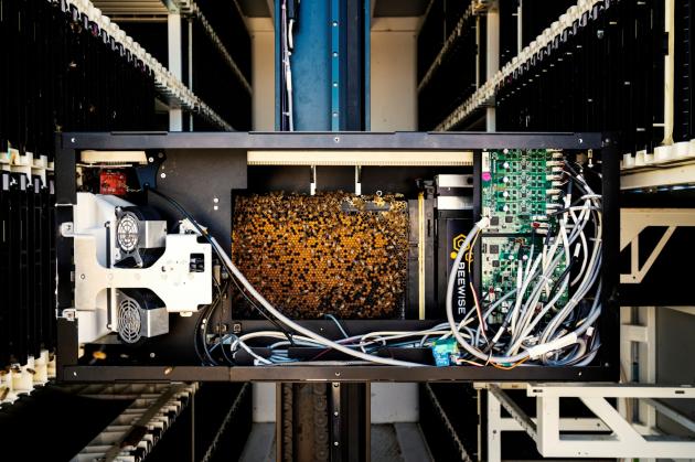 Banca Generali, progetto fotografico "Time To Change" di Stefano Guindani: obiettivo fame zero e corretta nutrizione 