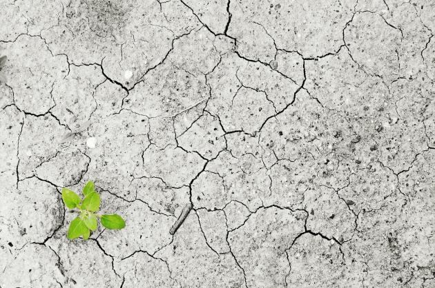 Siccità: il sacrificio agli dei degli sciamani in Australia