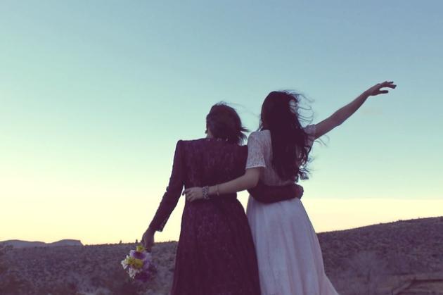 Matrimonio gay: una applicazione del concetto di ingegneria sociale esposto da Joseph Overton