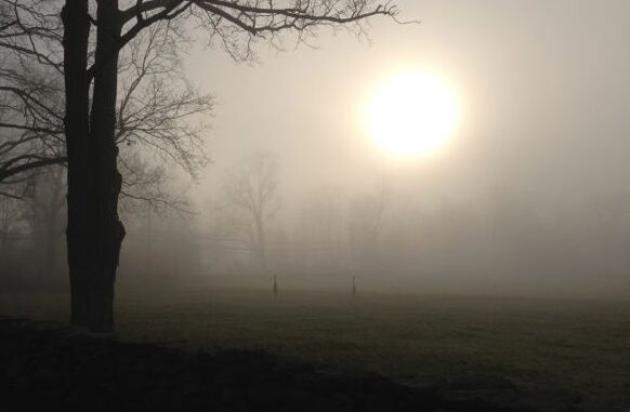 Caro bollette, la favola di Torre Beretti (Pavia), il paese della nebbia che regala l’energia grazie al sole