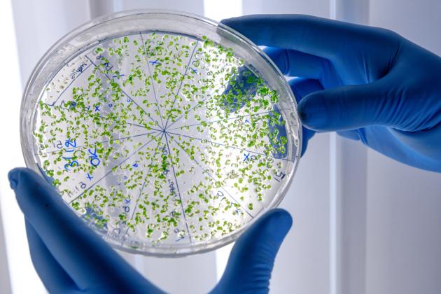 Olon  presenta piano biennale di investimenti da 30 mln nel centro biotech di Settimo Torinese