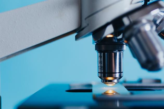 Acido ursodeossicolico (Udca), cos’è e come funziona la molecola con effetti anti-Covid