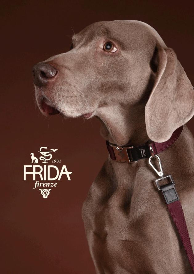Frida Firenze