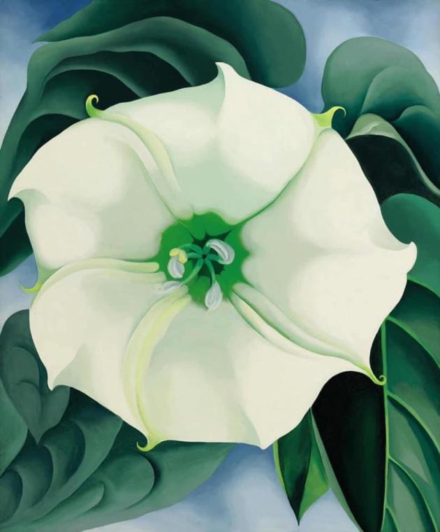 “Bianco Fiore n.1”, l’iperrealisno di Georgia O’Keefe: vera rock star dell'arte del ventesimo secolo