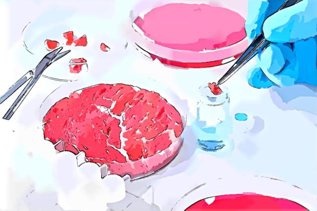 Carne sintetica