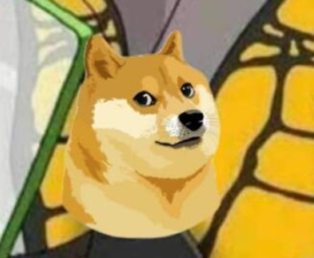 Elon Musk cambia logo di Twitter: il cane di Dogecoin al posto dell'uccellino. Il titolo della cripto si impenna (+30%)