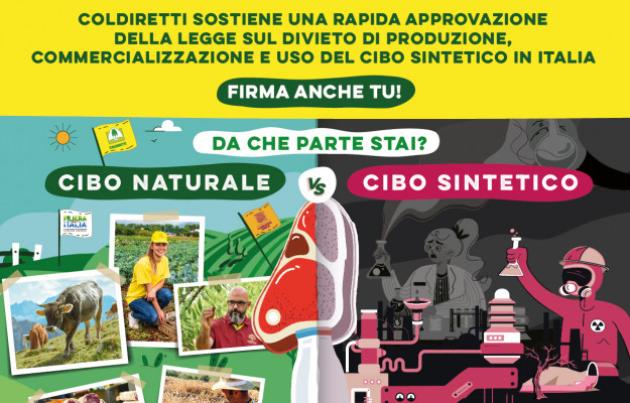 Carne sintetica, la denuncia di Coldiretti: “Censurati da Facebook”. Anche la bistecca diventa politicamente corretta