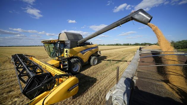 Grano ucraino, stop all’importazione da Polonia, Ungheria e Slovacchia: sfida aperta all’Ue