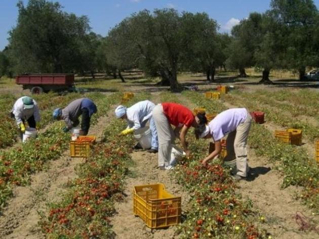 Sostituzione etnica, c'è ed è l'importazione di lavoratori a basso costo gestita dal capitale
