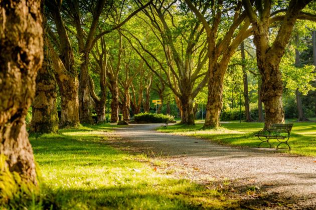 Roma, prete nigeriano accusato di molestia sessuale nel parco. Subito rilasciato per mancanza di flagranza
