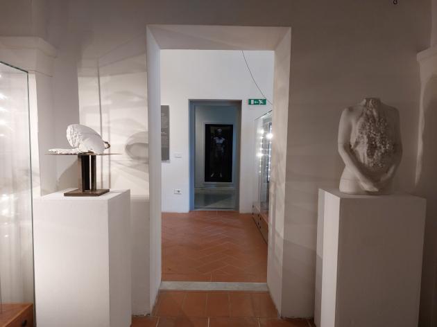 Museo Archeologico