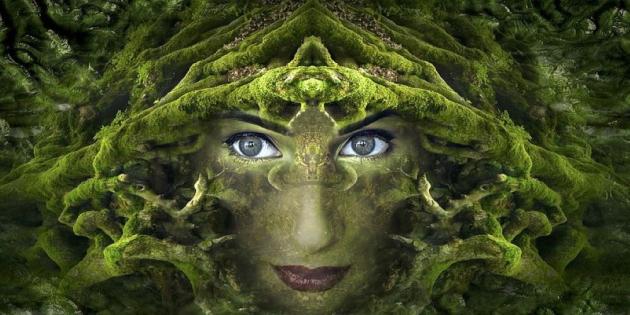 ESG. Il tema dell’ambiente ha radici profonde. Essere se stessi, in simbiosi con la natura