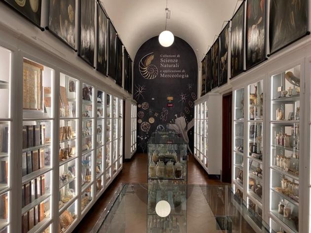 Fondazione Scienza e Tecnica di Fienze