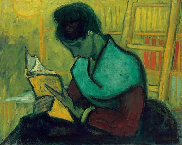 Quasi un esperimento per Vincent: La lettrice di romanzi