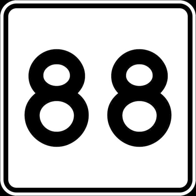 Vietato l'88. Il pensiero unico numericamente corretto