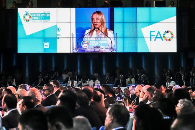 Vertice Fao Roma, sicurezza alimentare discussa da 160 Paesi, Meloni: "Esportare dieta mediterranea contro cibo sintetico"