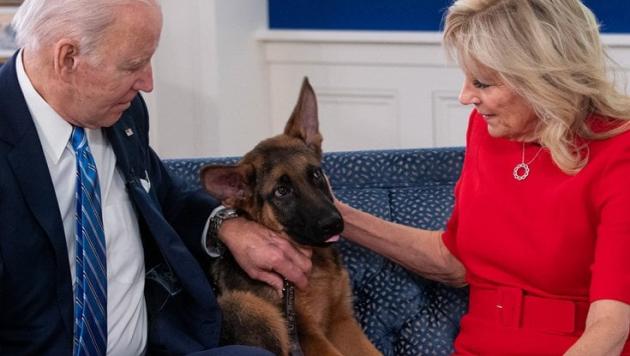 Joe Biden, il cane Commander sotto accusa: ha aggredito 6 agenti delle forze di sicurezza della Casa Bianca