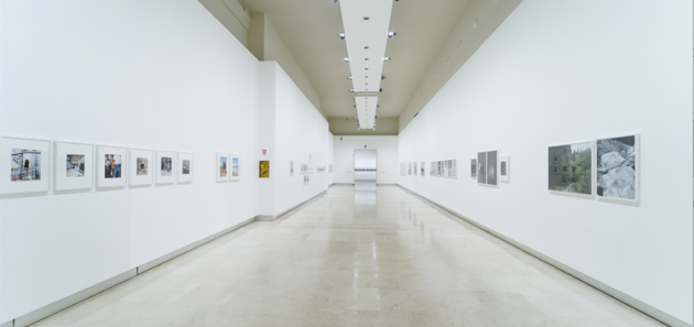 Terna, premio di fotografia 'Driving Energy 2023' attraverso metaverso e virtual tour del Palazzo delle Esposizioni di Roma