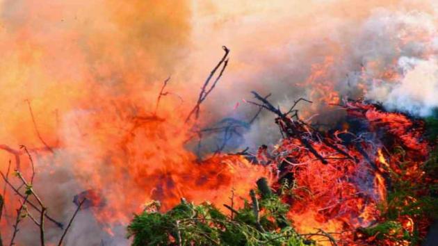 Incendi Hawaii, oltre 100 morti sull'isola di Maui, si aggrava bilancio vittime, governatore: "numeri destinati a crescere"