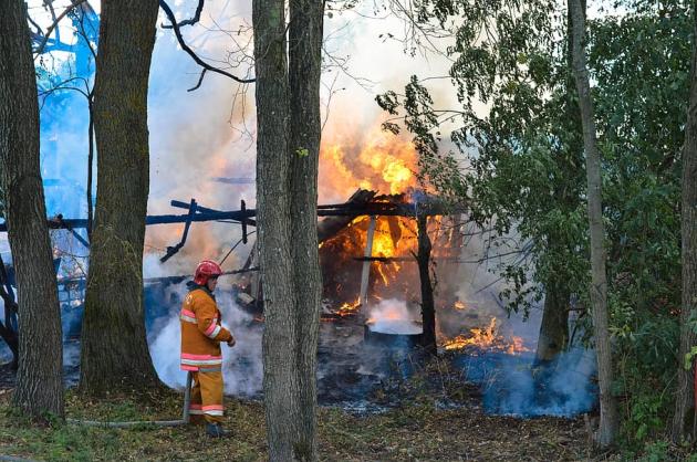 Incendi in Grecia, trovati i cadaveri di 18 migranti morti carbonizzati nella foresta di Dadia
