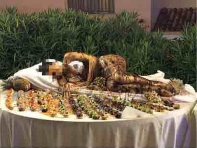 Golfo Aranci, donna ricoperta di cioccolato dalla testa ai piedi: un'amara idiozia ma le donne si difendano di più