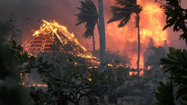 Incendi a Maui, Hawaii, fatalità o crimine premeditato? Lahaina vittima del Great Reset, Klaus Schwab la mente dietro