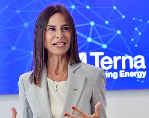Terna, autorizzata dal Ministero dell'Ambiente e Sicurezza energetica la tratta ovest del Tyrrhenian link